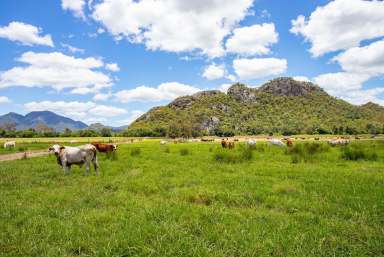 Farm For Sale - QLD - Croftby - 4310 - Mountain View - A Rare Legacy Property!  (Image 2)