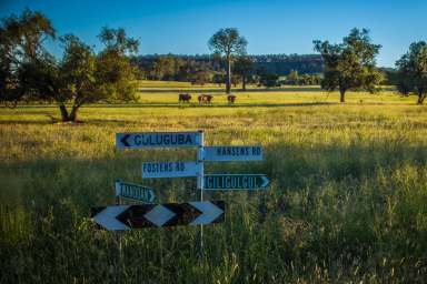 Farm Auction - QLD - Guluguba - 4418 - Proven Bullock Finishing, Backgrounder and Breeder Country!  (Image 2)