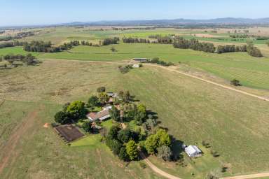 Farm Auction - NSW - Canowindra - 2804 - 453acres*, Prime Self Watering River frontage & Livestock Grazing Land With a Modern Family Home!  (Image 2)