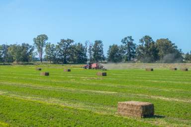 Farm Auction - NSW - Canowindra - 2804 - 453acres*, Prime Self Watering River frontage & Livestock Grazing Land With a Modern Family Home!  (Image 2)