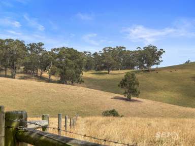 Farm For Sale - VIC - Mardan - 3953 - Breeding / Fattening Property  (Image 2)