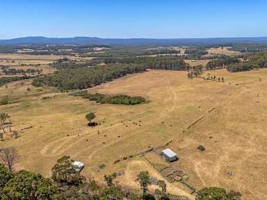 Farm For Sale - WA - Tingledale - 6333 - Crimson Valley  (Image 2)