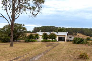 Farm For Sale - WA - Tingledale - 6333 - Crimson Valley  (Image 2)