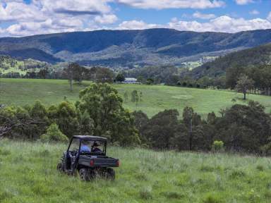 Farm Auction - NSW - Dungog - 2420 - Productivity Without Compromise - 'Larra' Has it All!  (Image 2)