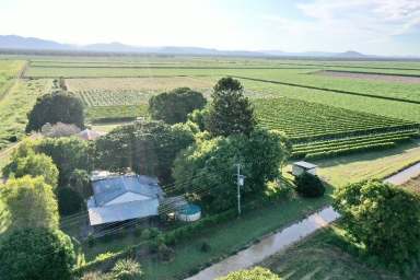 Farm For Sale - QLD - Millaroo - 4807 - Sugar Cane - Grazing - Passionfruit - Property WIWO  (Image 2)