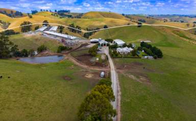 Farm For Sale - VIC - Mountain View - 3988 - Unique Homestead plus Manager’s Cottage on 84 Acres  (Image 2)