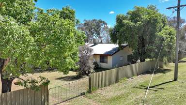 Farm For Sale - NSW - Yearinan - 2357 - 170 Acres - "Yearinan Springs"  (Image 2)