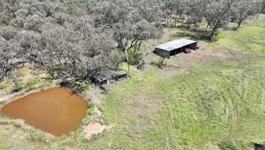 Farm For Sale - NSW - Yearinan - 2357 - 170 Acres - "Yearinan Springs"  (Image 2)