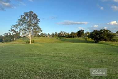 Farm For Sale - QLD - McIntosh Creek - 4570 - Prime Land Opportunity – The Best on the Market!  (Image 2)