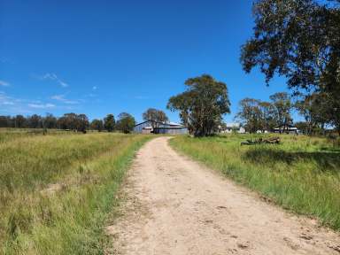 Farm For Sale - QLD - Fleurbaix - 4375 - ACREAGE WITH WATER  (Image 2)