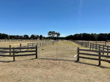 Farm For Sale - VIC - Inverleigh - 3321 - Can we get a pony?  (Image 2)