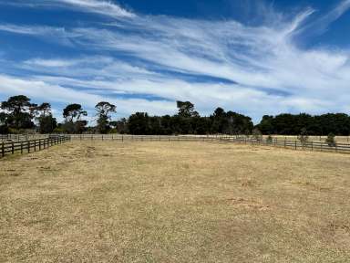 Farm For Sale - VIC - Inverleigh - 3321 - Can we get a pony?  (Image 2)