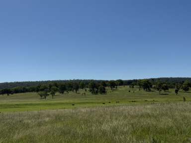 Farm For Sale - QLD - Moonford - 4630 - Mixed Farming in Sought After Moonford Location  (Image 2)