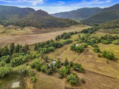 Farm For Sale - NSW - Doyles Creek - 2330 - "Bargra Park" Doyles Creek - 25.24Ha (62.34 Acres) + Water Security + 2 Cottages!  (Image 2)