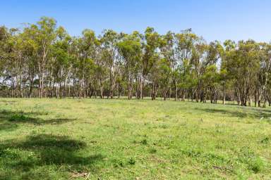 Farm Auction - QLD - Geham - 4352 - Creeks, Pasture, Trees - Just Minutes From Highfields  (Image 2)