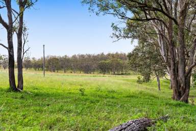 Farm Auction - QLD - Geham - 4352 - Creeks, Pasture, Trees - Just Minutes From Highfields  (Image 2)