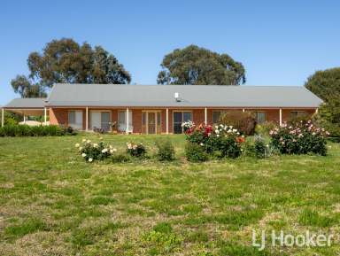 Farm For Sale - NSW - Inverell - 2360 - 'Yarramundi'  (Image 2)