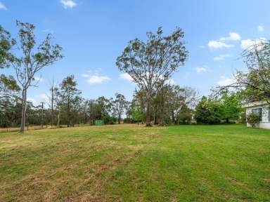 Farm For Sale - NSW - Oakdale - 2570 - 'Mala Daki Orchard'  (Image 2)