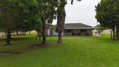 Farm For Sale - VIC - Numurkah - 3636 - MIXED FARMING OPPORTUNITY WITH CREEK FRONTAGE  (Image 2)