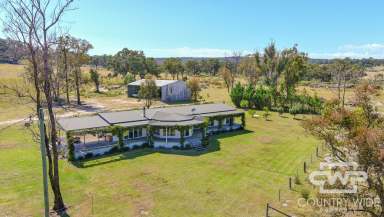 Farm For Sale - NSW - Deepwater - 2371 - "Argyll"- High Rainfall Farming Opportunity  (Image 2)