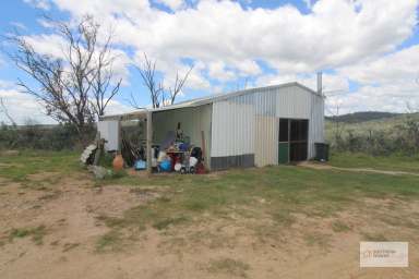 Farm For Sale - QLD - Rodgers Creek - 4370 - SEEKING AN ADVENTURE - LOT 80 RODGERS CREEK RD  (Image 2)