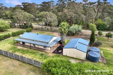 Farm For Sale - VIC - Woodside - 3874 - Home in Prime Rural Location  (Image 2)