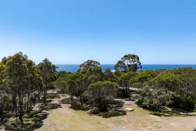 Farm For Sale - TAS - Bicheno - 7215 - A Coastal Gem Ready For Your Vision  (Image 2)