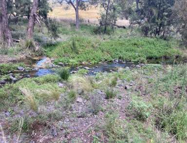 Farm For Sale - NSW - Cassilis - 2329 - Scenic Hideaway!  (Image 2)