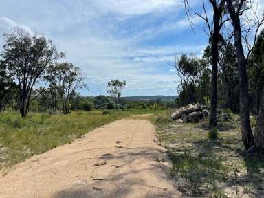 Farm For Sale - QLD - Thorndale - 4380 - Stanthorpe private rural retreat  (Image 2)