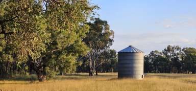 Farm For Sale - NSW - Gulgong - 2852 - Exceptional Rural Lifestyle Property with Development Potential  (Image 2)