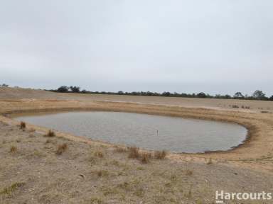 Farm For Sale - VIC - Clear Lake - 3409 - Clear Lake Cropping zone  (Image 2)