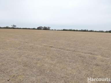 Farm For Sale - VIC - Clear Lake - 3409 - Clear Lake Cropping zone  (Image 2)