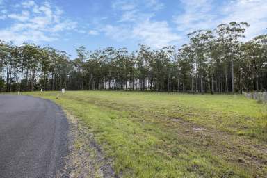 Farm For Sale - NSW - Verges Creek - 2440 - Build Your Dream Home!  (Image 2)