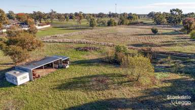 Farm For Sale - VIC - Shepparton - 3630 - Fully Renovated with Lifestyle Options  (Image 2)