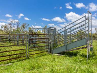 Farm For Sale - QLD - Moolboolaman - 4671 - Great Opportunity! Approx. 373+ Acres of Good Grazing Country with Home  (Image 2)