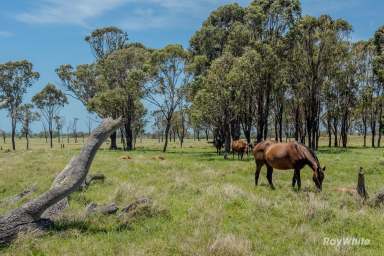 Farm For Sale - QLD - Elliott Heads - 4670 - Huge Price Reduction- Rural Blocks Near Elliott Heads  (Image 2)