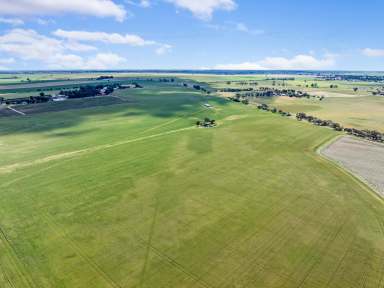 Farm For Sale - SA - Freeling - 5372 - Outstanding Opportunity to Expand Your Cropping Enterprise in Prime Farming Area  (Image 2)