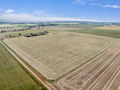 Farm For Sale - SA - Freeling - 5372 - Outstanding Opportunity to Expand Your Cropping Enterprise in Prime Farming Area  (Image 2)