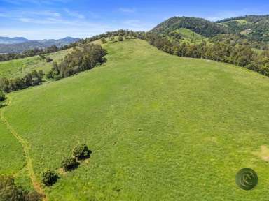 Farm For Sale - QLD - Pie Creek - 4570 - THE SPRINGS, AN EXCEPTIONAL RURAL PROPERTY WHERE VERSATILITY SPRINGS TO MIND  (Image 2)