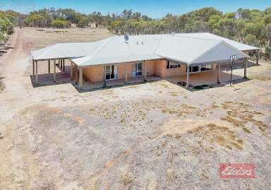 Farm For Sale - WA - Narrogin Valley - 6312 - Rare Offering of Exceptional Home and Prime Land  (Image 2)