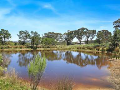 Farm For Sale - NSW - Boxers Creek - 2580 - Auction Saturday 1st March - Country Retreat in Boxers Creek  (Image 2)