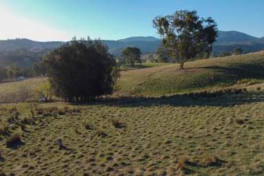 Farm For Sale - VIC - Bonnie Doon - 3720 - YOUR LIFESTYLE ACREAGE AWAITS!  (Image 2)