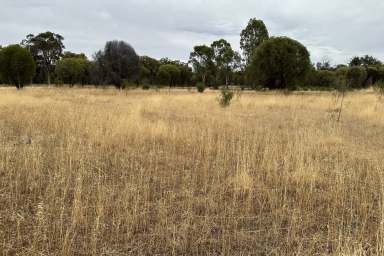 Farm For Sale - WA - Woodanilling - 6316 - Spacious 1 Acre Block in Quiet Woodanilling  (Image 2)