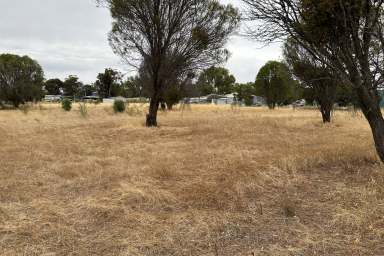 Farm For Sale - WA - Woodanilling - 6316 - Spacious 1 Acre Block in Quiet Woodanilling  (Image 2)