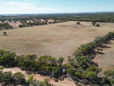 Farm For Sale - NSW - West Wyalong - 2671 - Small Rural Acreage right on the edge of town  (Image 2)