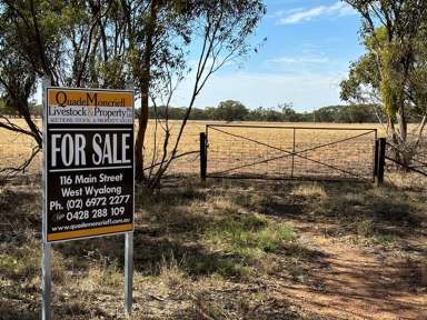 Farm For Sale - NSW - West Wyalong - 2671 - Small Rural Acreage right on the edge of town  (Image 2)