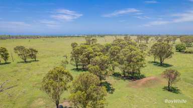 Farm For Sale - QLD - Elliott Heads - 4670 - Rural Blocks Near Elliott Heads- Huge Price Reduction  (Image 2)