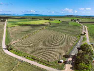 Farm Auction - QLD - Habana - 4740 - Habana Grazing, Cane & Lifestyle  (Image 2)