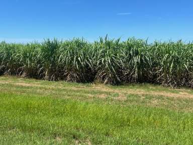 Farm Auction - QLD - Habana - 4740 - Habana Grazing, Cane & Lifestyle  (Image 2)