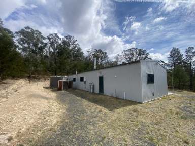 Farm For Sale - NSW - Braidwood - 2622 - 464 Tally Ho Road  (Image 2)